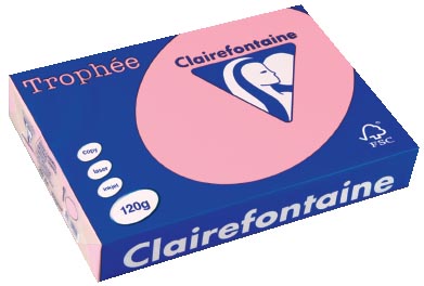 Kopieerpapier A4 120g roze