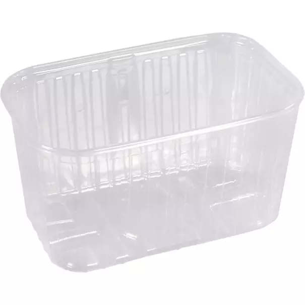 Aardbeibak PP 1000g 192x118x105mm