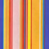 Cadeaupapier Nature Eco 30cmx200m