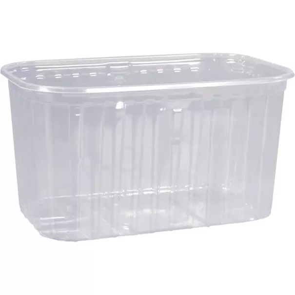 Aardbeibak PP 500g 192x118x58mm