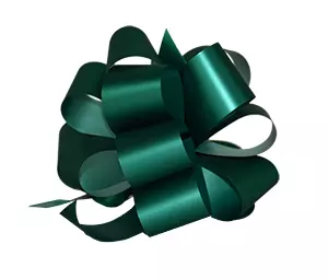 Cadeaustrik 30mm Groen 30 stuks
