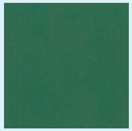 Cadeaupapier 50cm nr.101 groen kraft (rol à 200m)