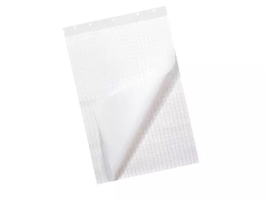 Flipoverpapier 65x100cm Blanco Ruit 50 vellen