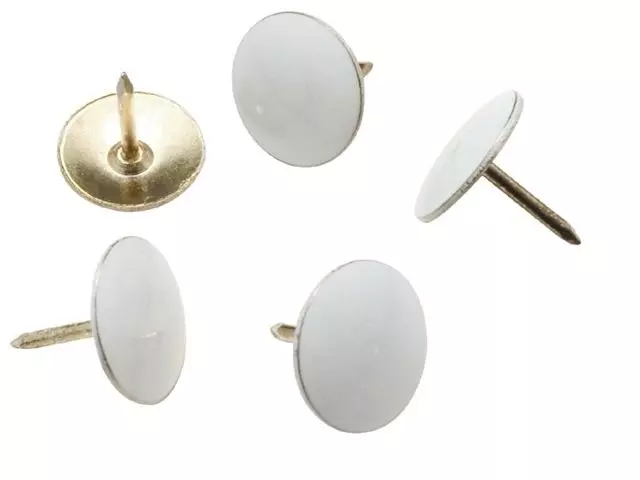Punaises Ø9mm Wit - 100 stuks - Quantore