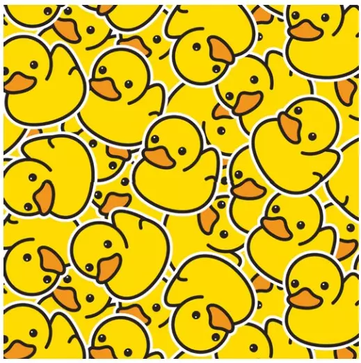 Cadeaupapier Ducks 50cmx175m 80grs