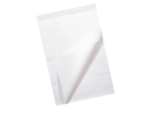 Flipoverpapier 65x100cm blanco/ruit 80g 50vel/blok (doos à 2blok)