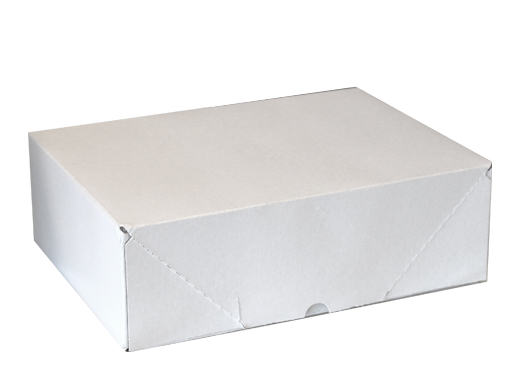 Doos 305x210x100mm Massief A4 ruw bodem+deksel wit