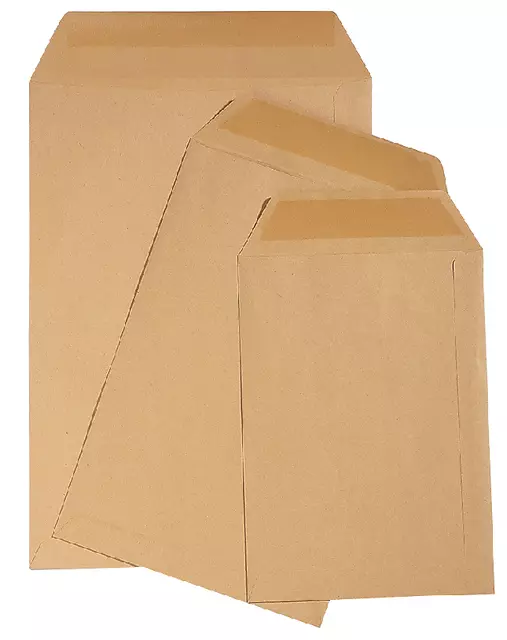 Loonzak Enveloppen Bruin 65x105mm