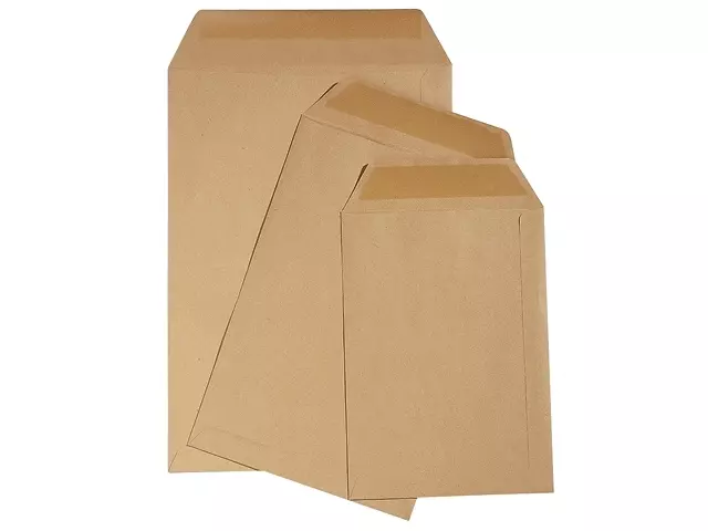 Loonzak Enveloppen Bruin 95x145mm