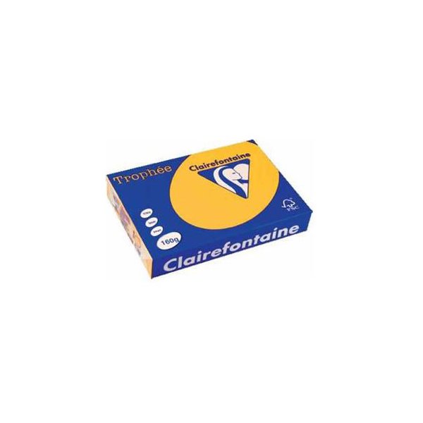 Kopieerpapier A4 120gr goudgeel