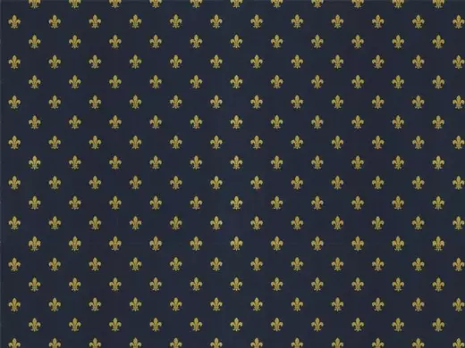 Cadeaupapier Fleur de Lis Blue Zwart 50cm