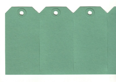 Kartonnen label 55x110mm groen