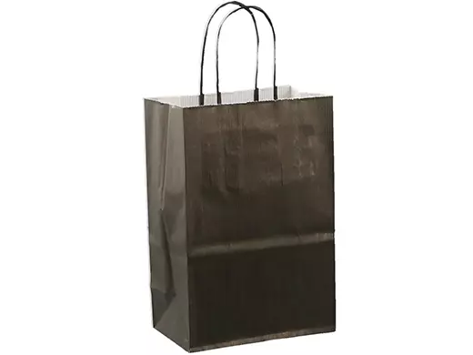 Papieren Draagtas 22x11x28cm Met Gedraaid Handvat Zwart