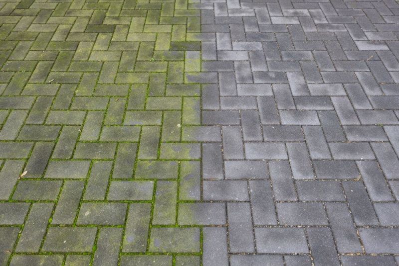 Desinfectiemiddel-algendoder